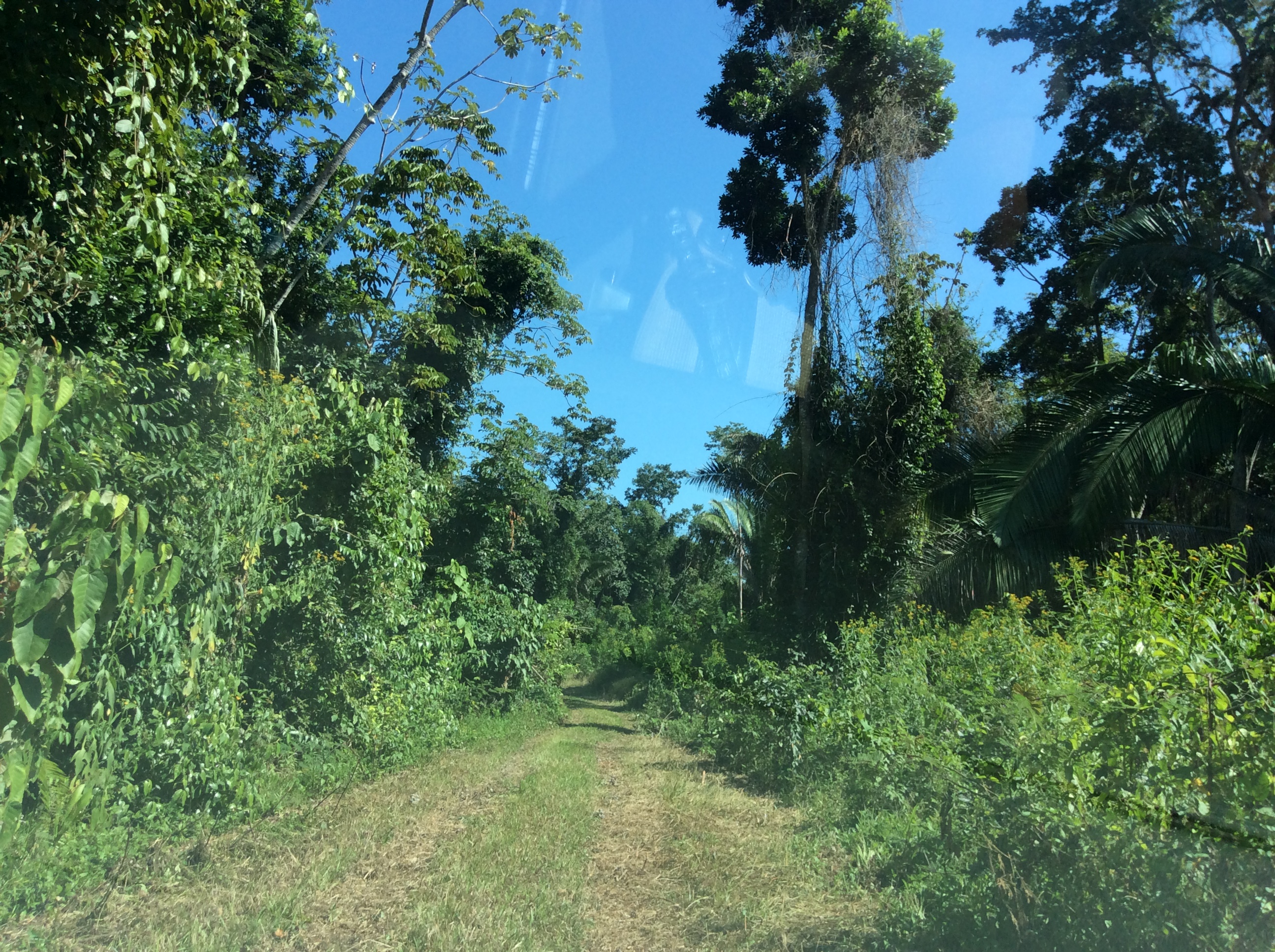 February 2015 - The road into Mayacan