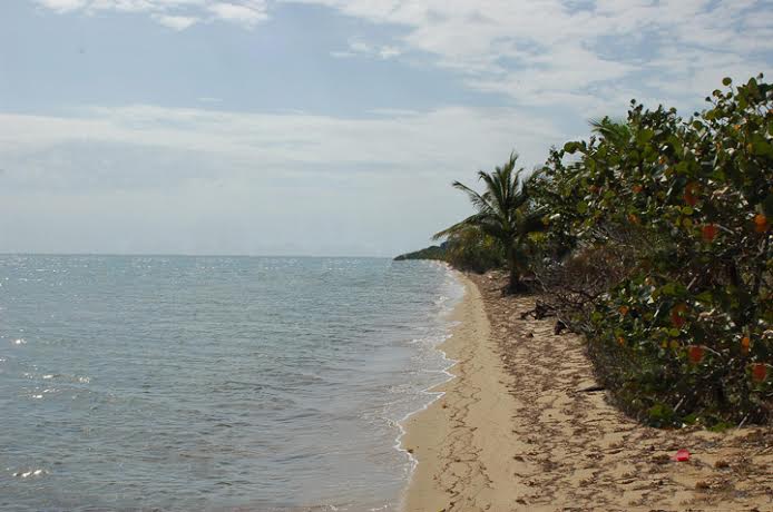 View Looking South at Mayacan Beach Resort